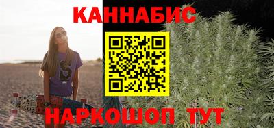 индика Кулебаки