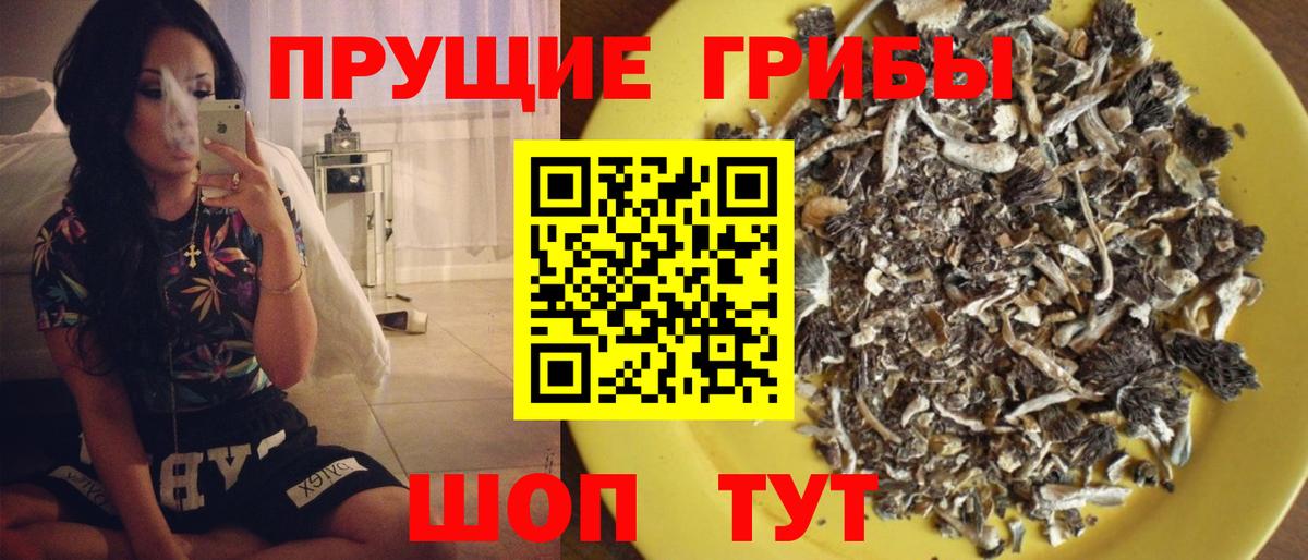 Галлюциногенные грибы мухоморы Губкинский